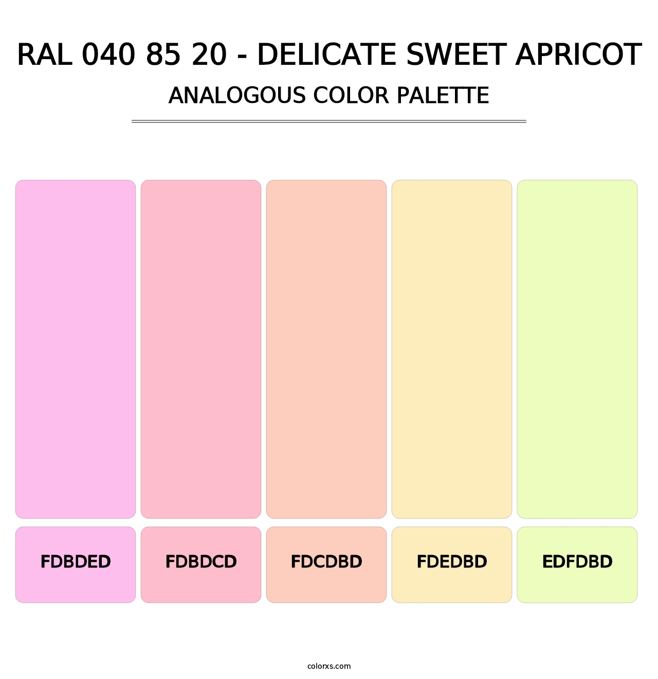 RAL 040 85 20 - Delicate Sweet Apricot - Analogous Color Palette