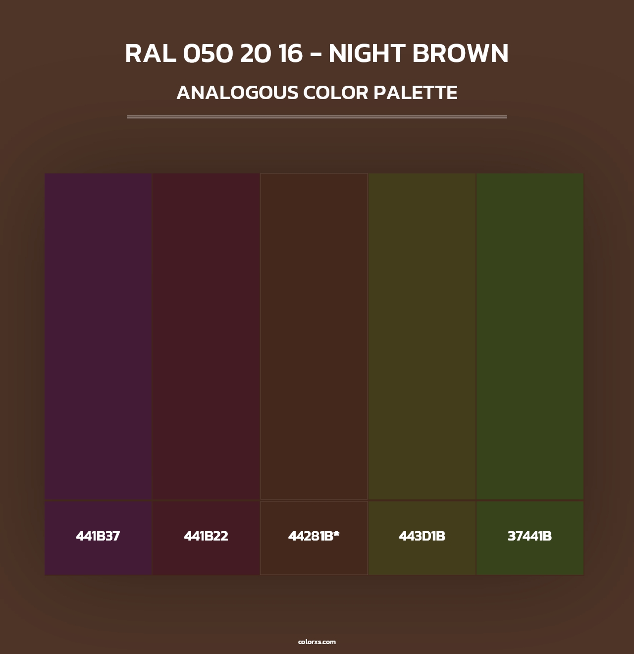 RAL 050 20 16 - Night Brown - Analogous Color Palette