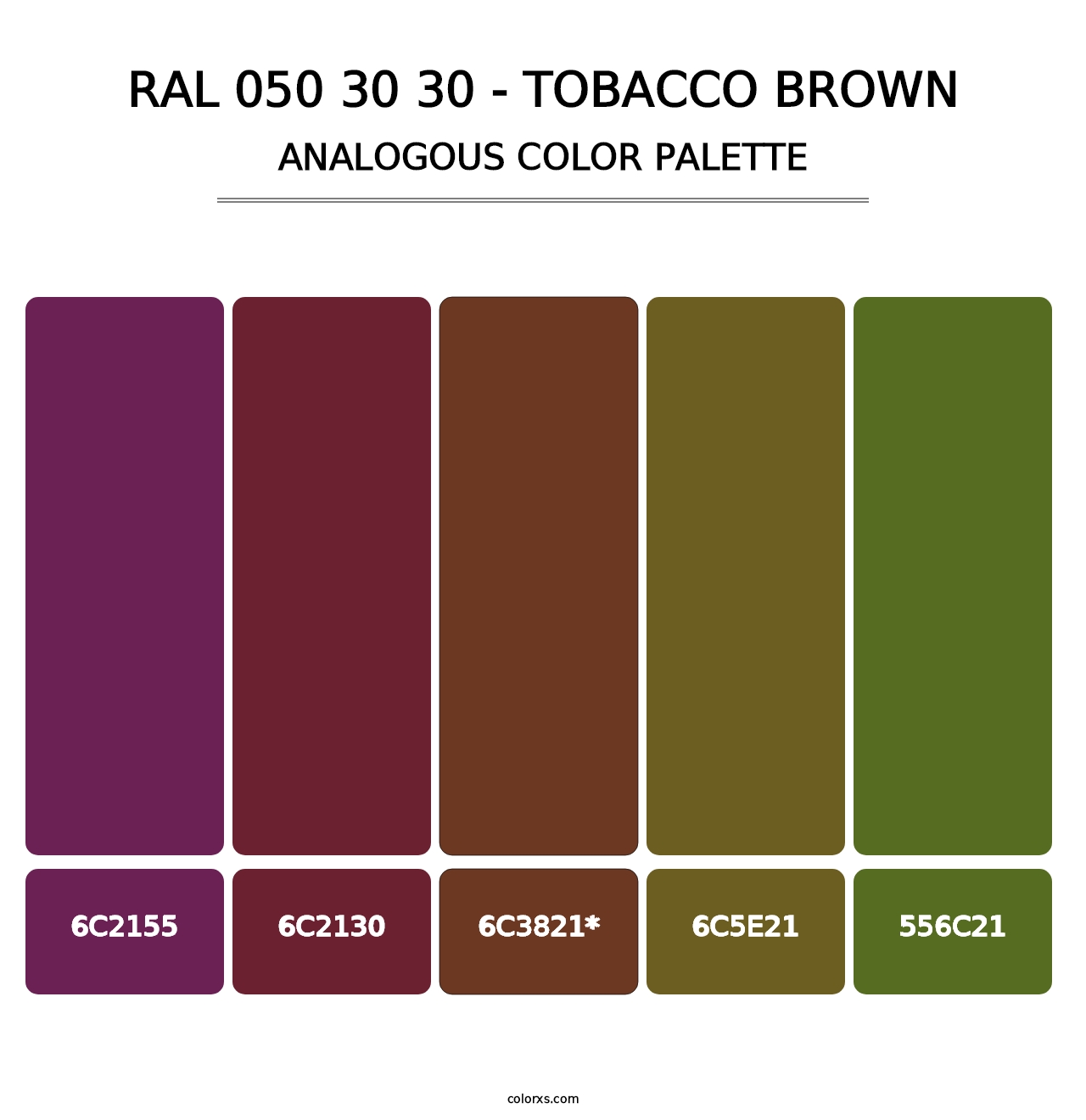 RAL 050 30 30 - Tobacco Brown - Analogous Color Palette