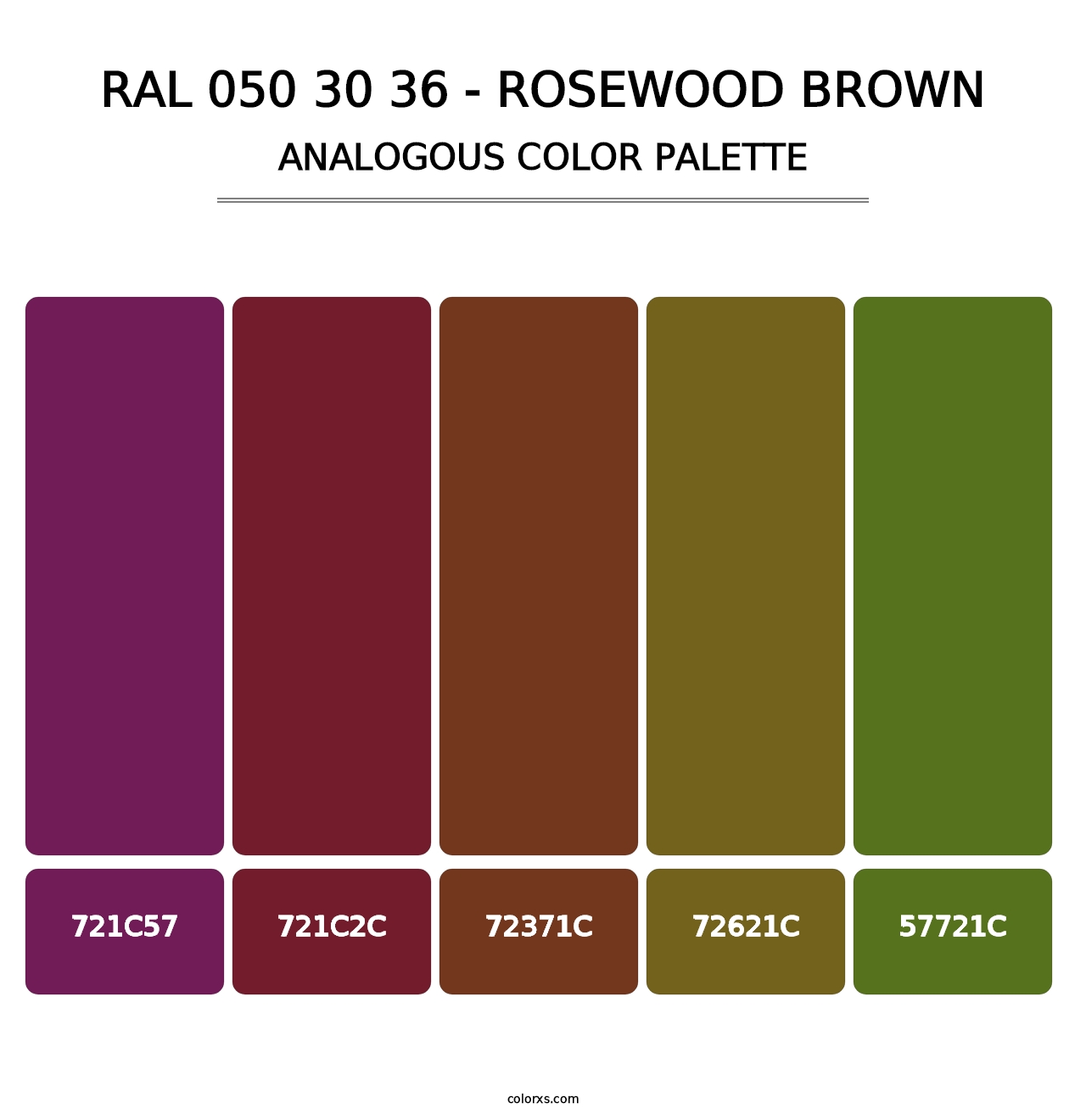 RAL 050 30 36 - Rosewood Brown - Analogous Color Palette