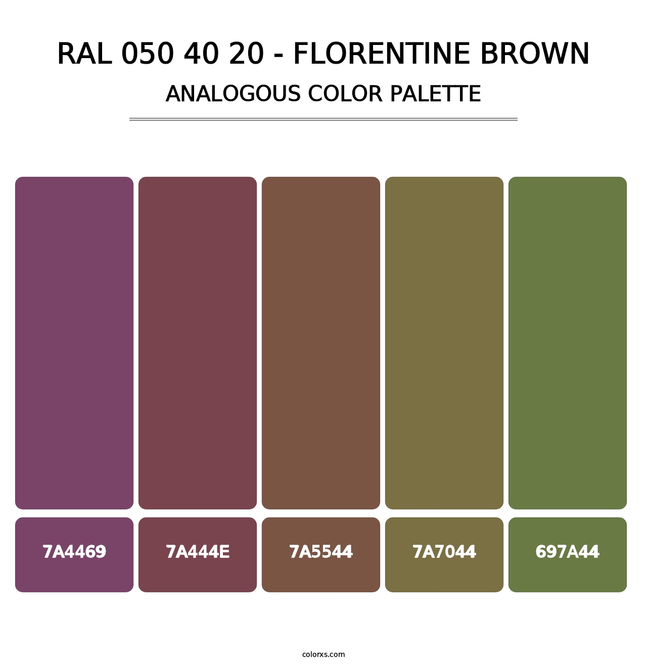 RAL 050 40 20 - Florentine Brown - Analogous Color Palette