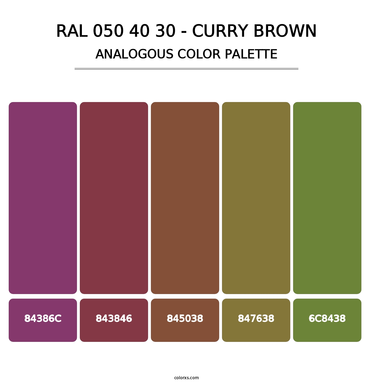 RAL 050 40 30 - Curry Brown - Analogous Color Palette