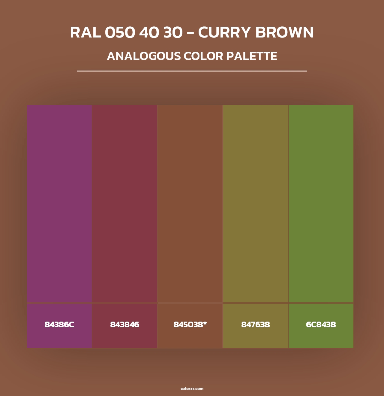 RAL 050 40 30 - Curry Brown - Analogous Color Palette