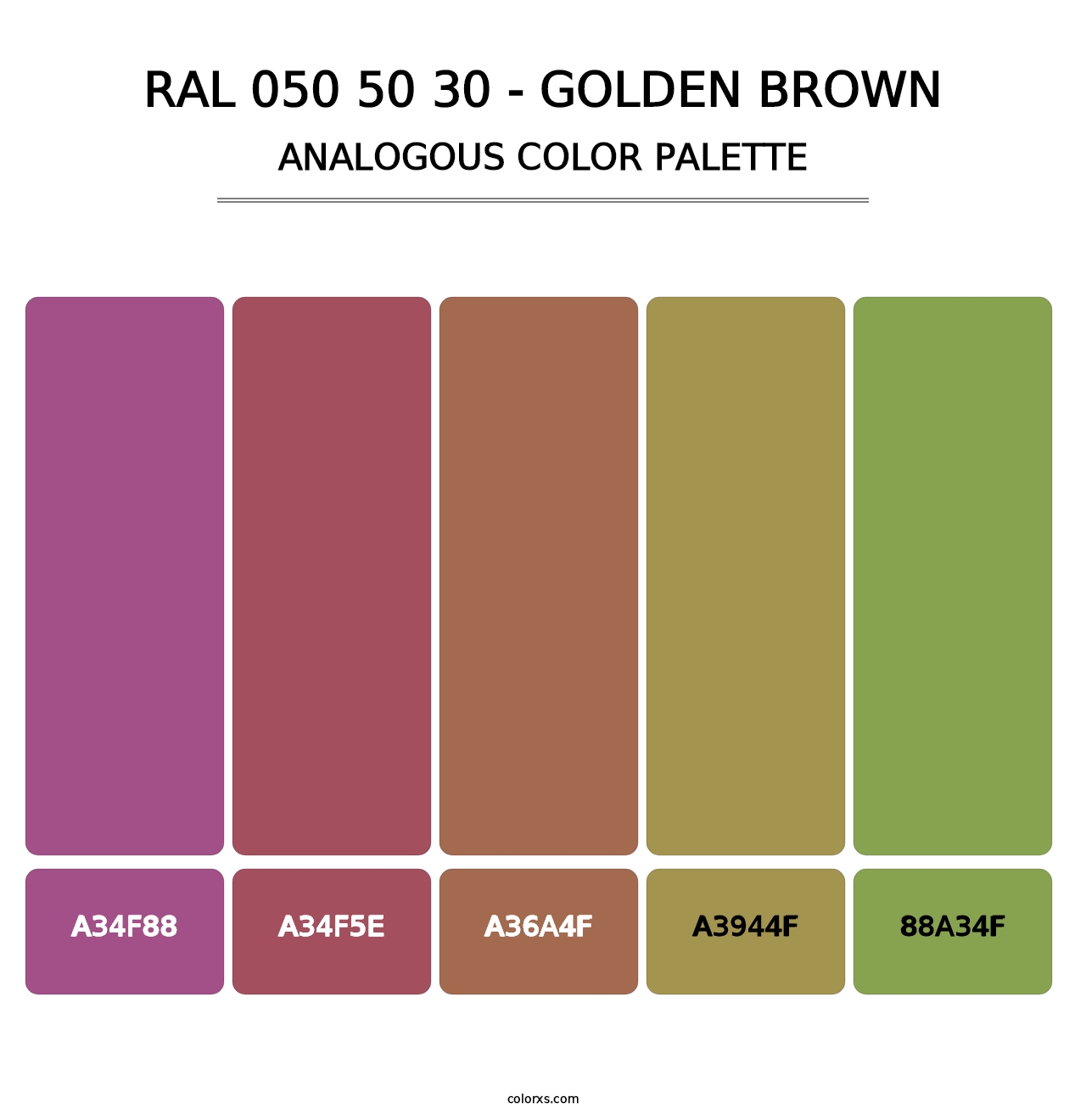RAL 050 50 30 - Golden Brown - Analogous Color Palette