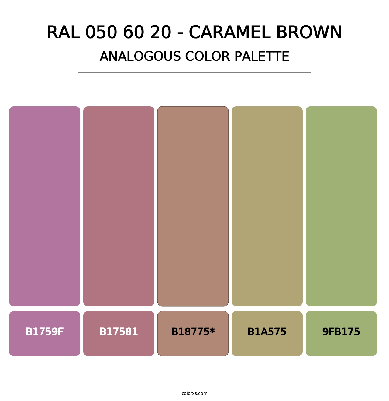 RAL 050 60 20 - Caramel Brown - Analogous Color Palette