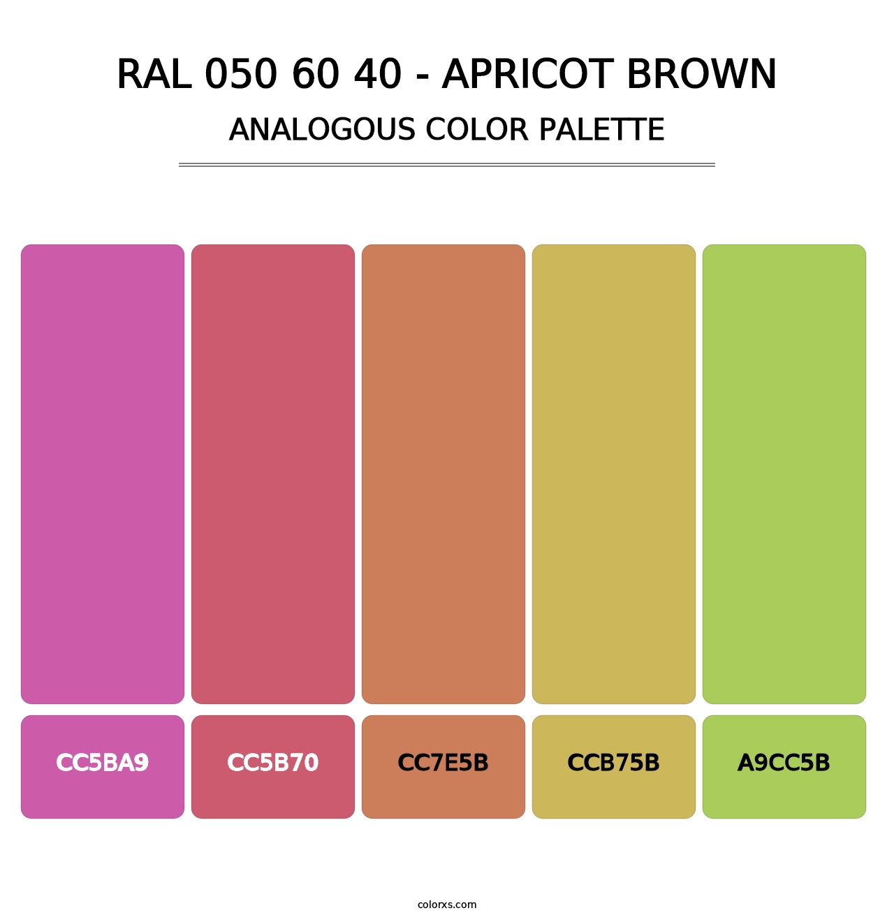 RAL 050 60 40 - Apricot Brown - Analogous Color Palette