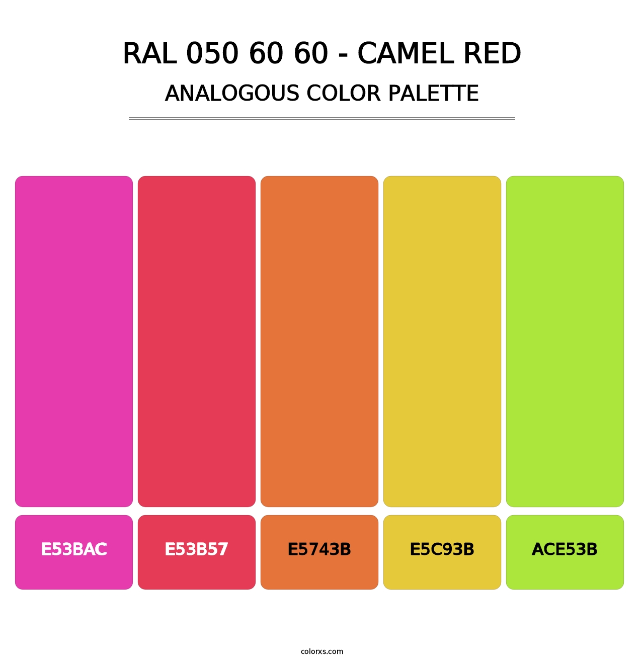 RAL 050 60 60 - Camel Red - Analogous Color Palette