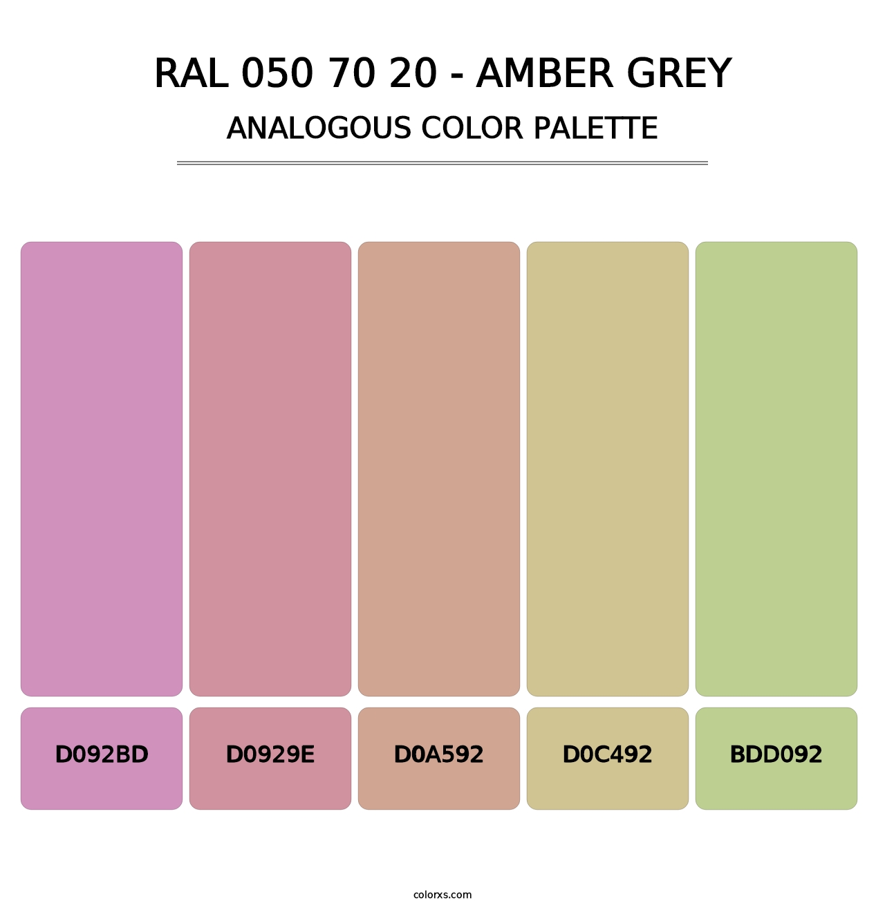 RAL 050 70 20 - Amber Grey - Analogous Color Palette