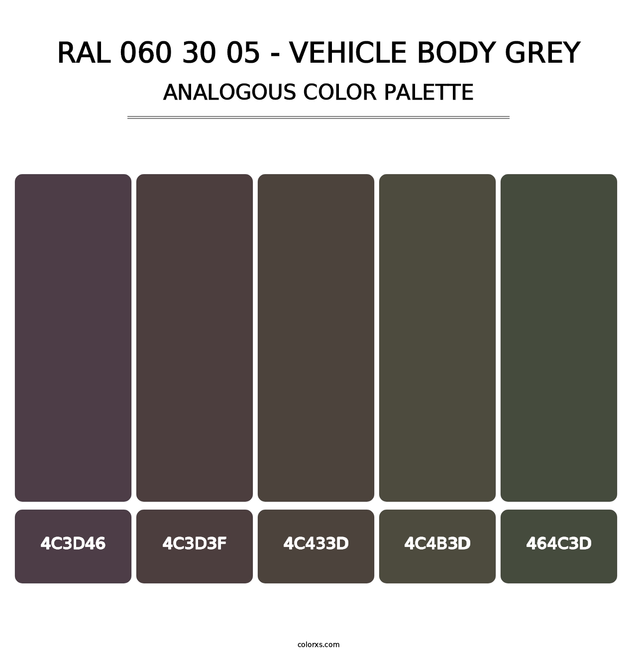 RAL 060 30 05 - Vehicle Body Grey - Analogous Color Palette