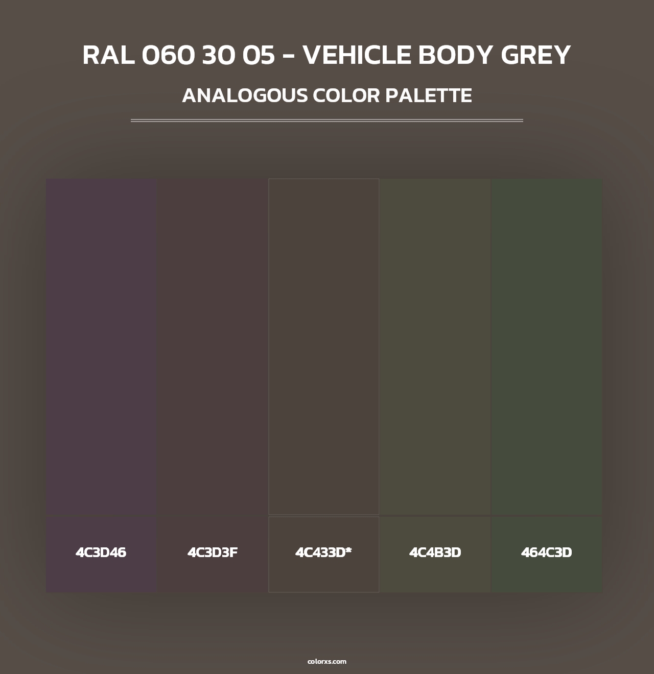 RAL 060 30 05 - Vehicle Body Grey - Analogous Color Palette