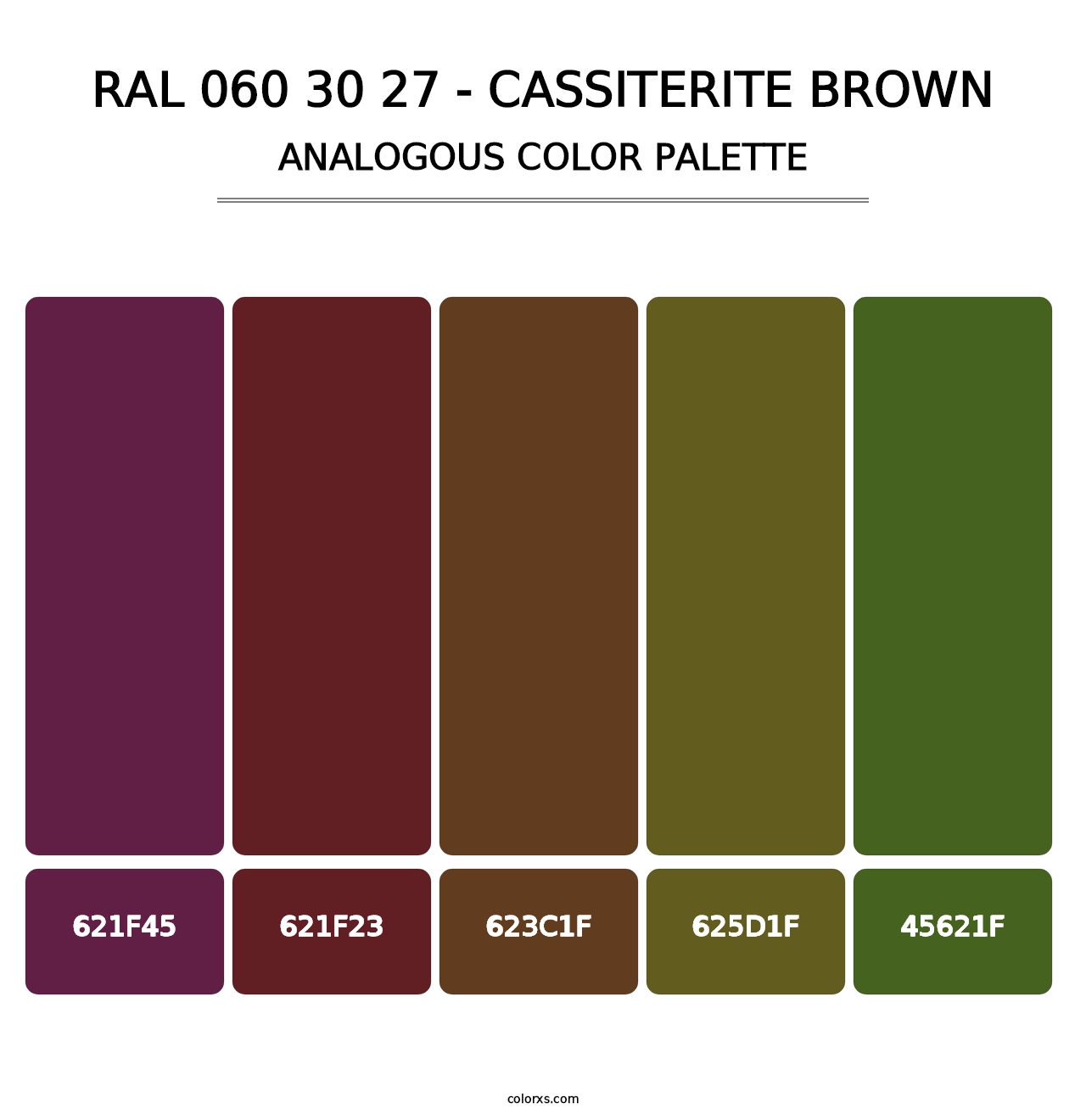 RAL 060 30 27 - Cassiterite Brown - Analogous Color Palette