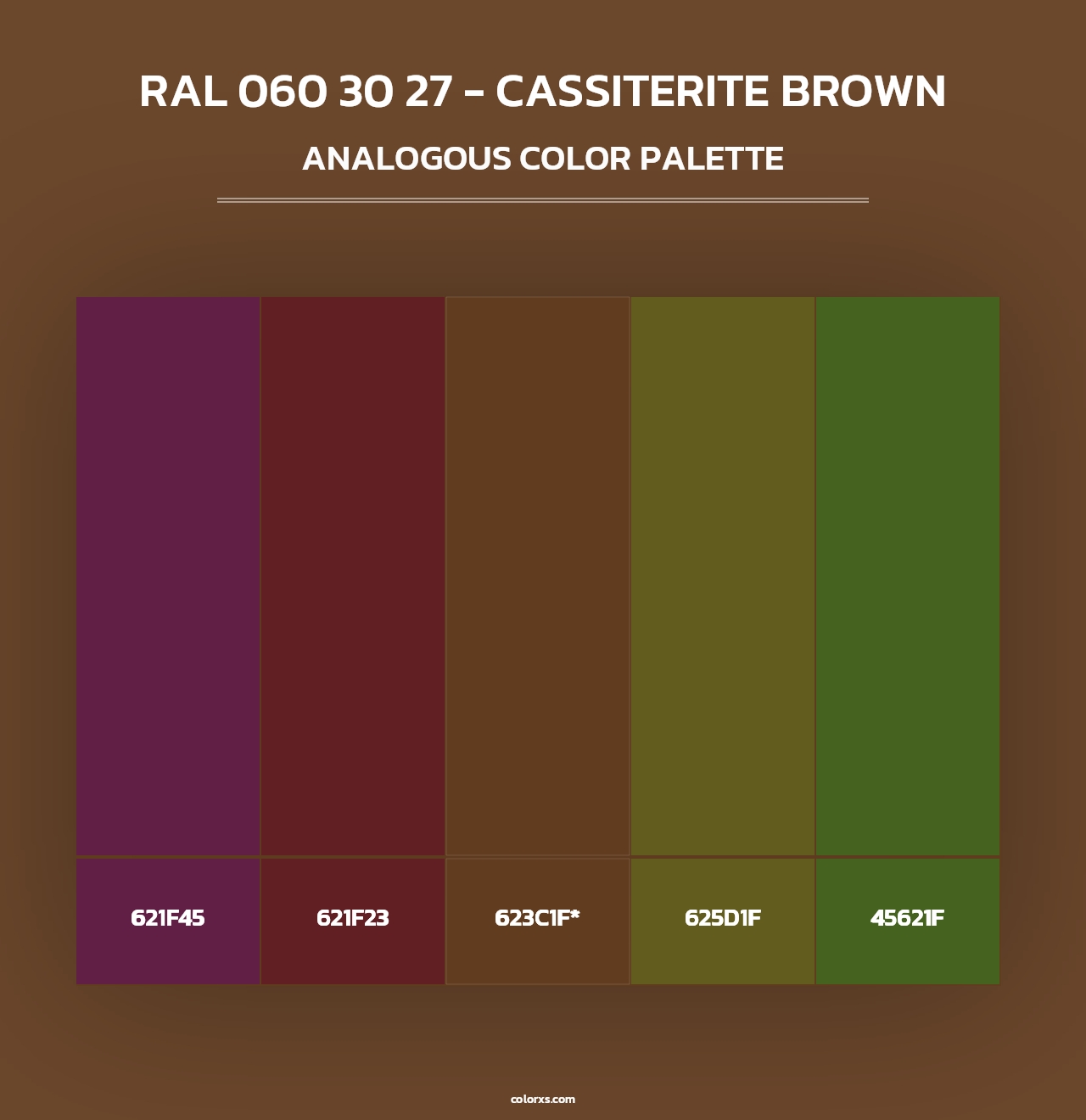 RAL 060 30 27 - Cassiterite Brown - Analogous Color Palette