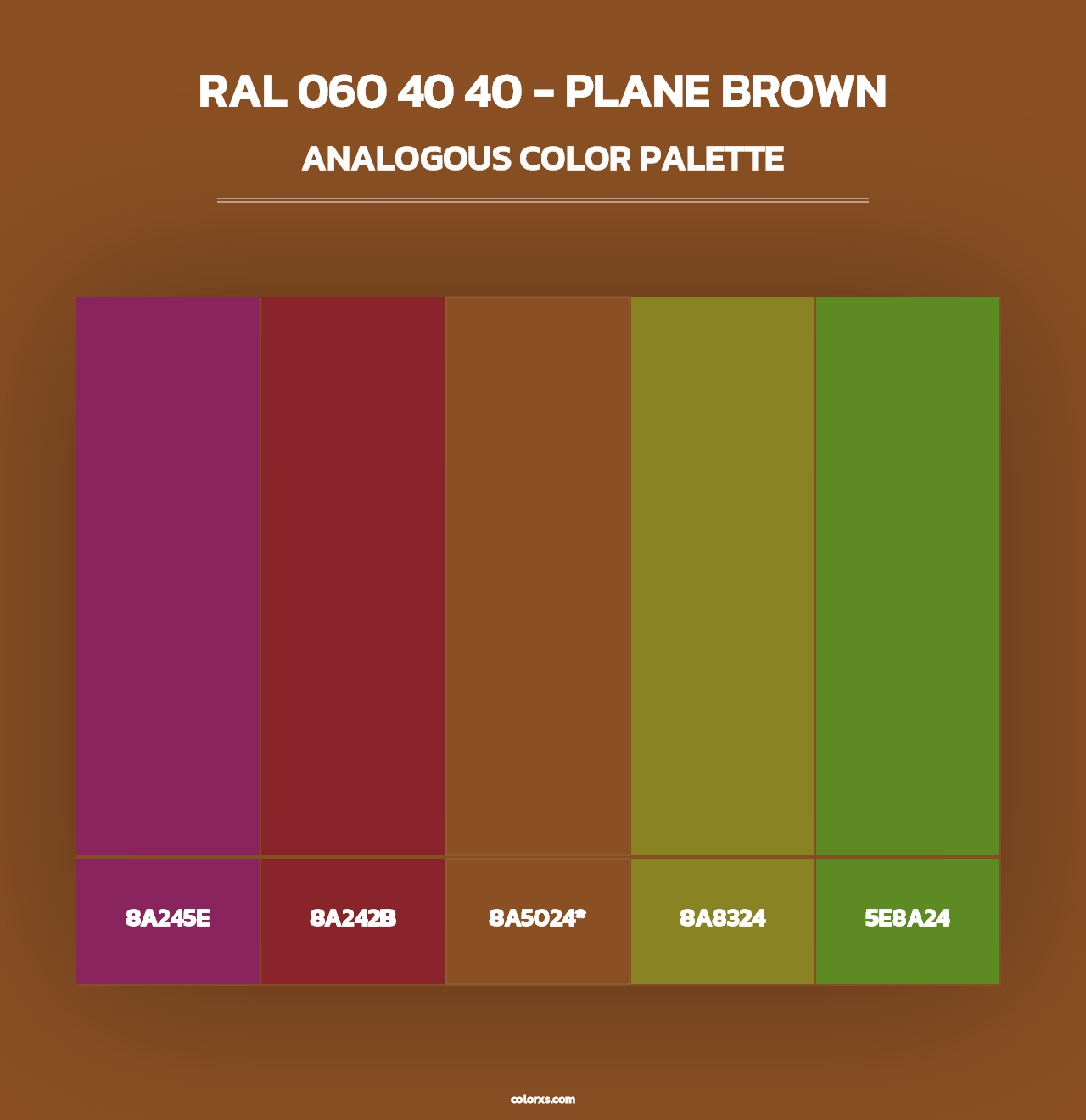 RAL 060 40 40 - Plane Brown - Analogous Color Palette
