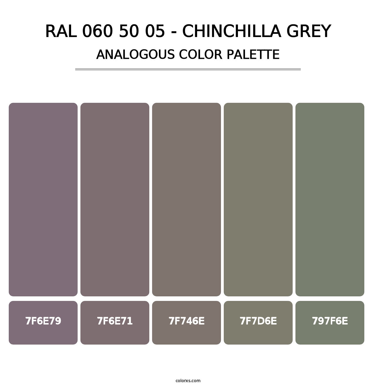RAL 060 50 05 - Chinchilla Grey - Analogous Color Palette