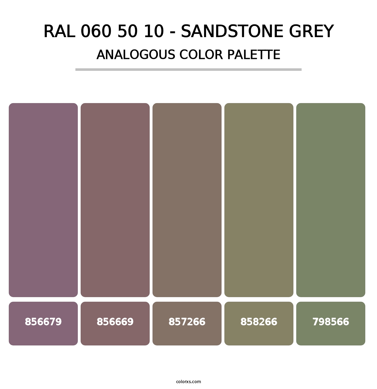 RAL 060 50 10 - Sandstone Grey - Analogous Color Palette
