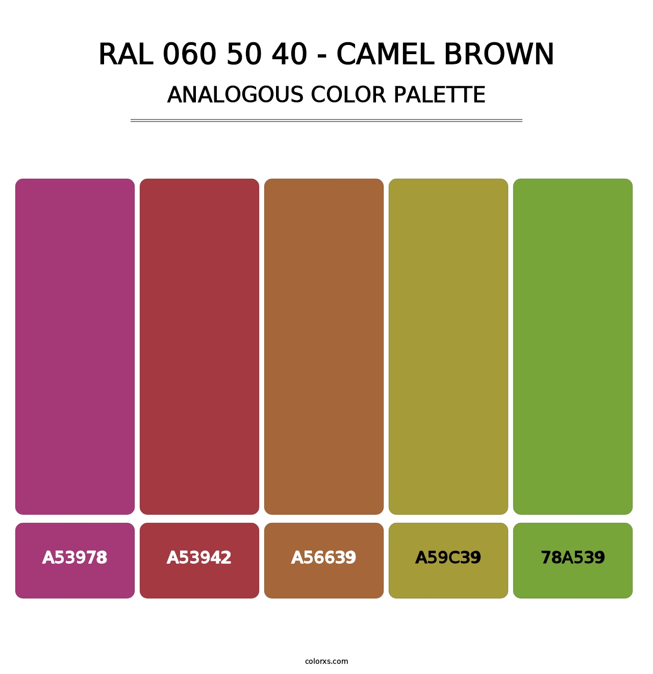 RAL 060 50 40 - Camel Brown - Analogous Color Palette