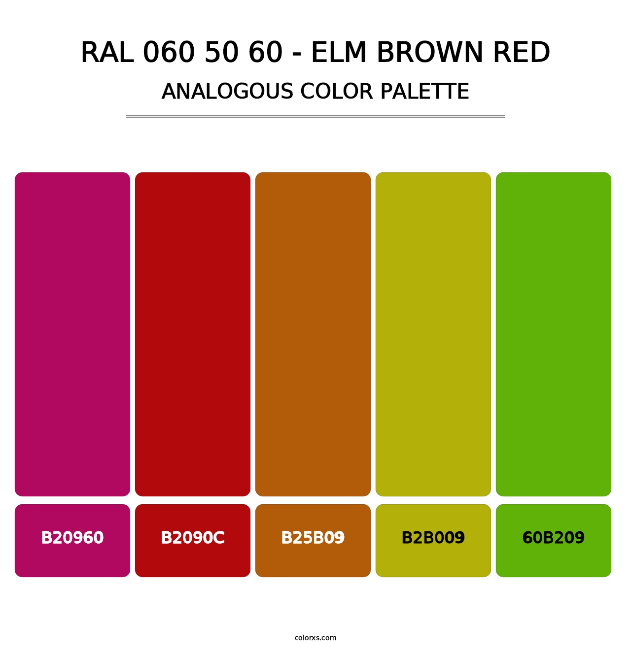 RAL 060 50 60 - Elm Brown Red - Analogous Color Palette
