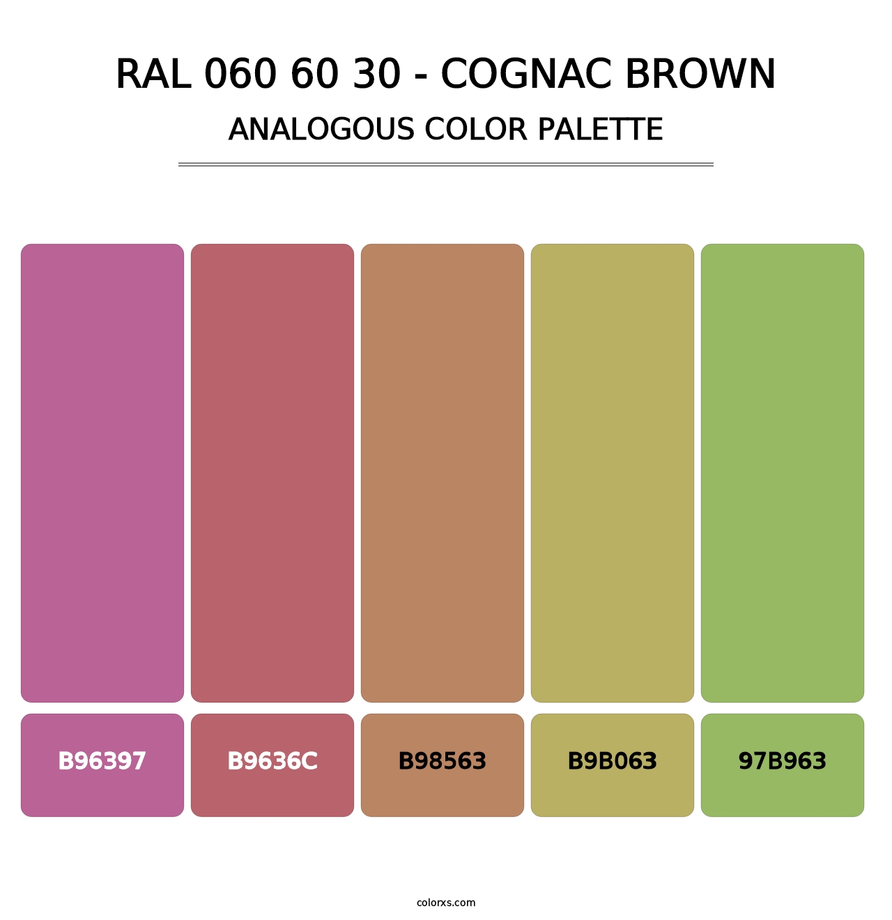 RAL 060 60 30 - Cognac Brown - Analogous Color Palette