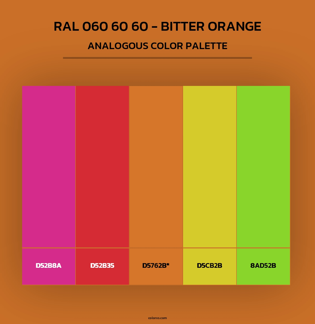 RAL 060 60 60 - Bitter Orange - Analogous Color Palette