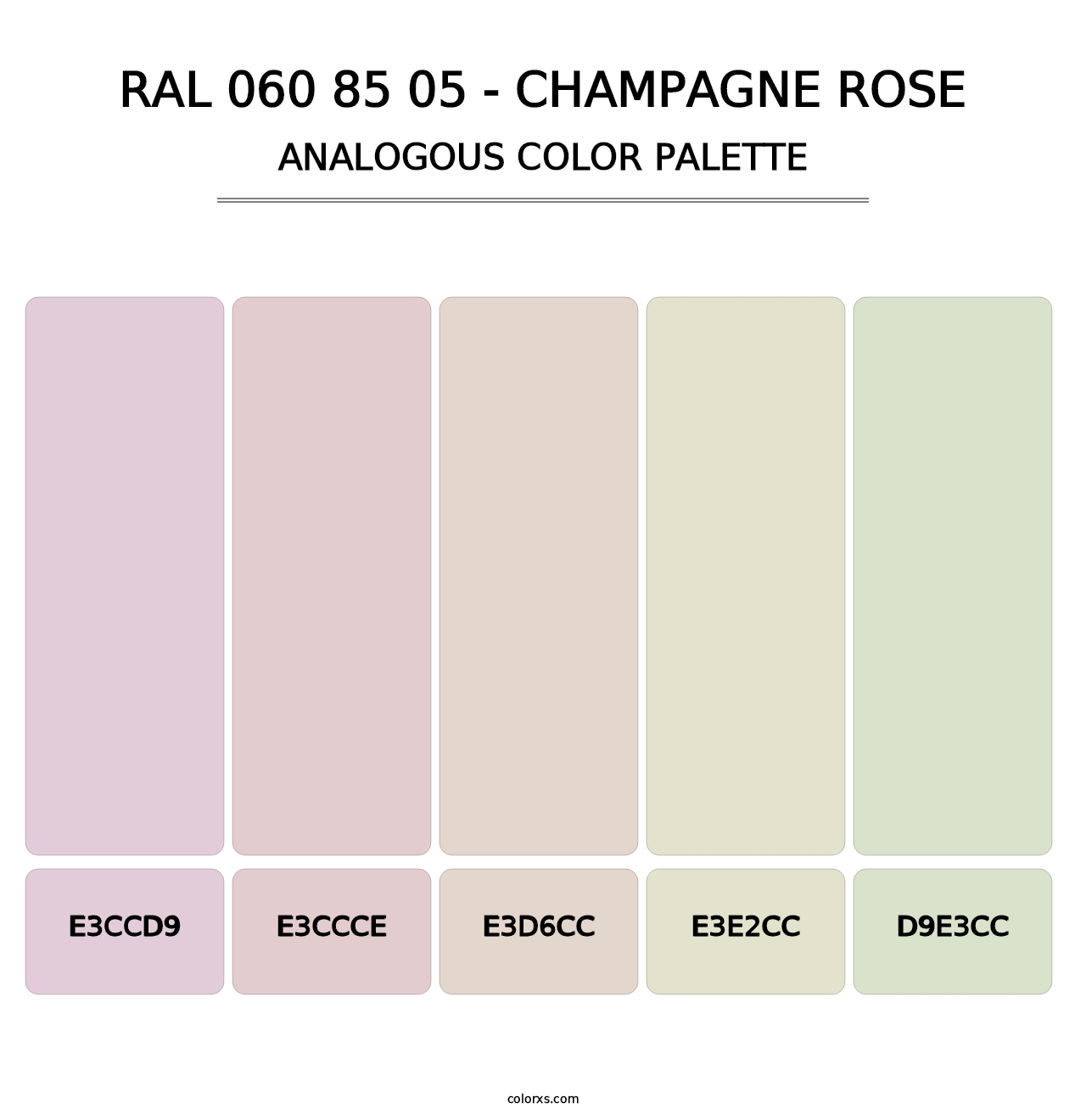 RAL 060 85 05 - Champagne Rose - Analogous Color Palette