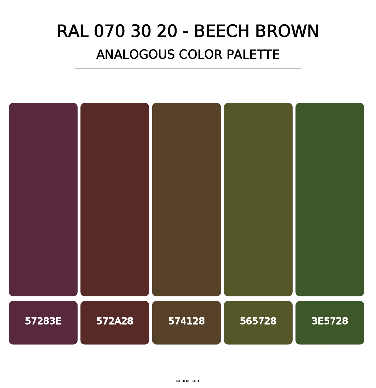 RAL 070 30 20 - Beech Brown - Analogous Color Palette