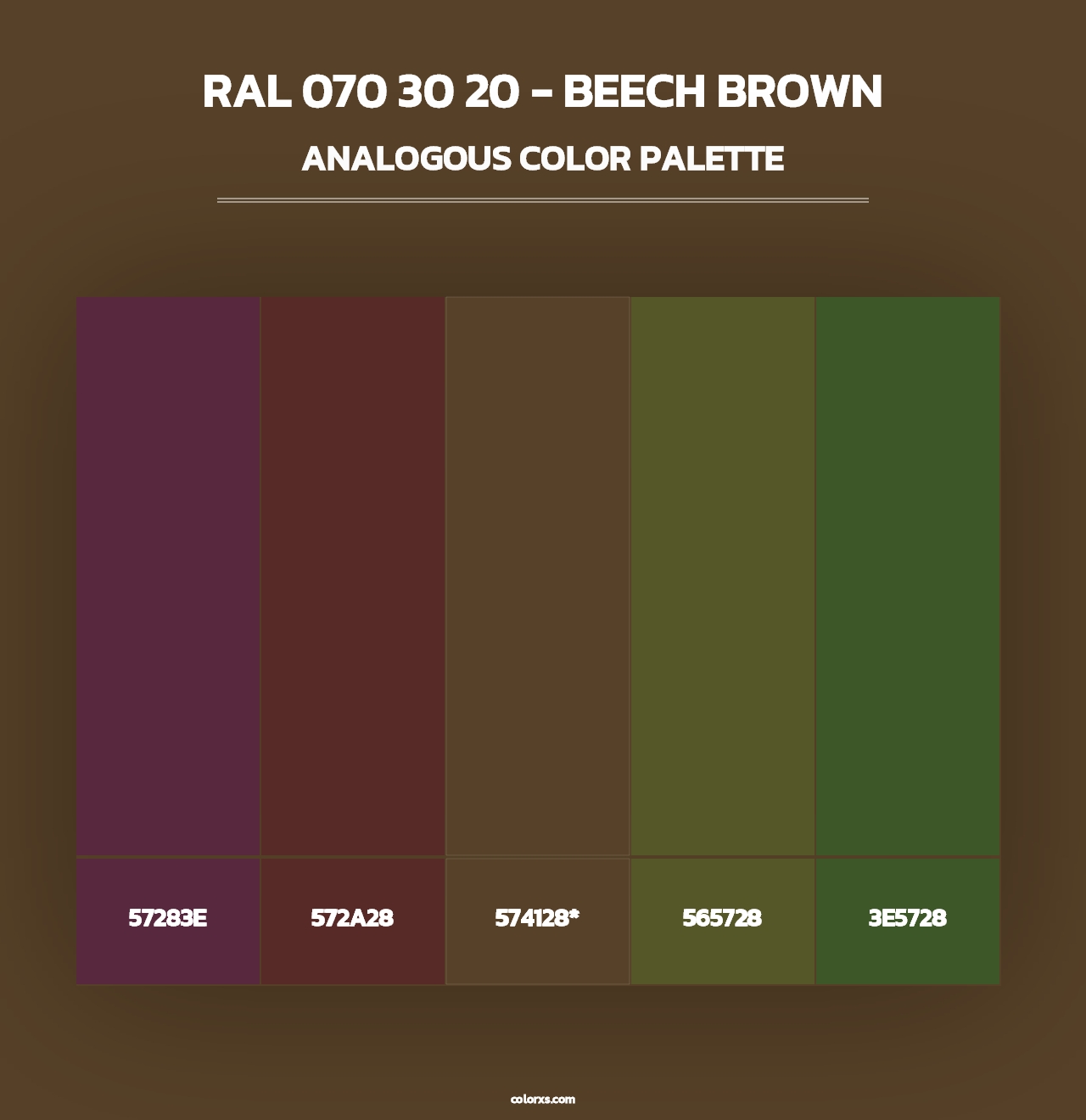 RAL 070 30 20 - Beech Brown - Analogous Color Palette