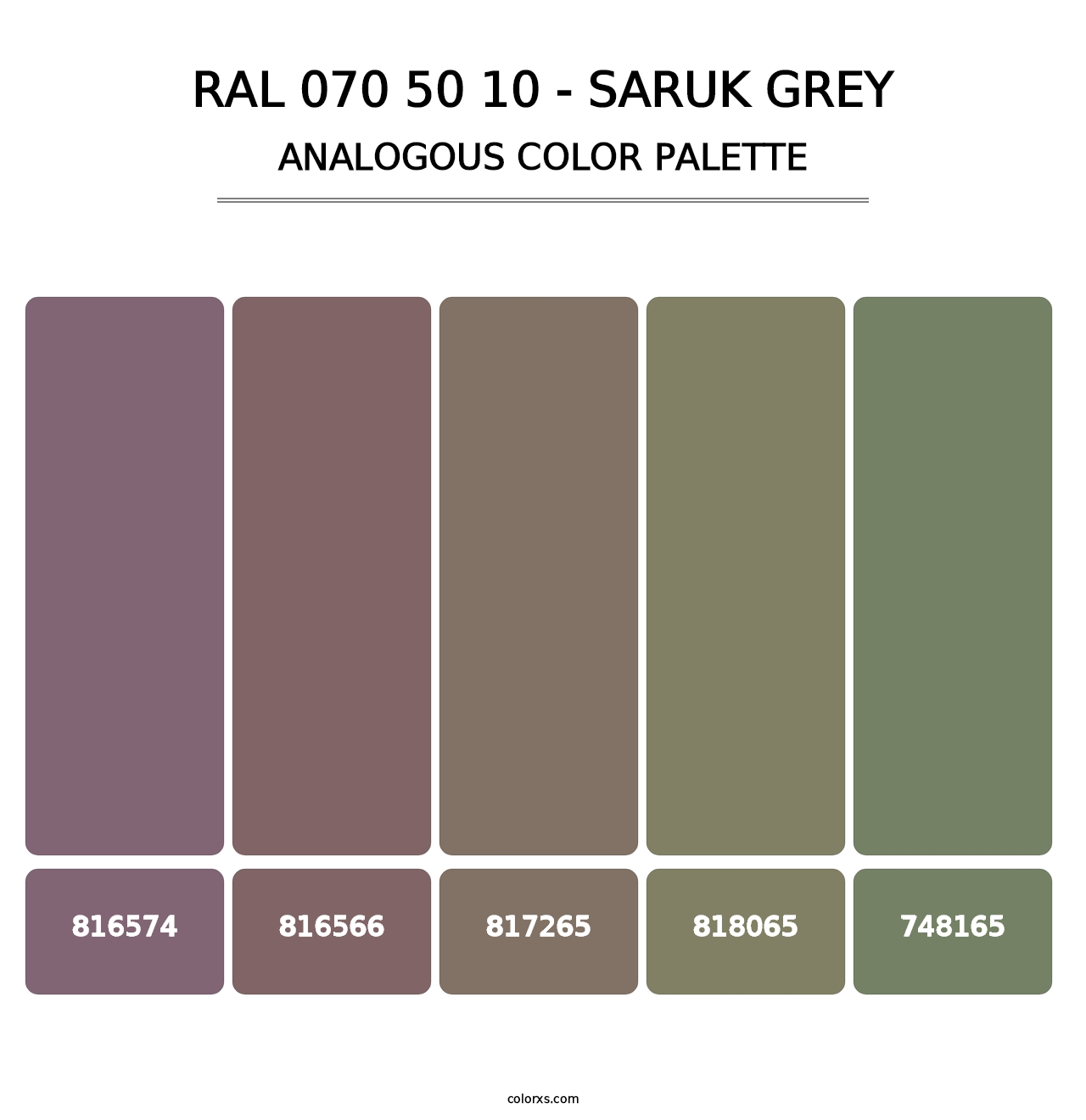 RAL 070 50 10 - Saruk Grey - Analogous Color Palette