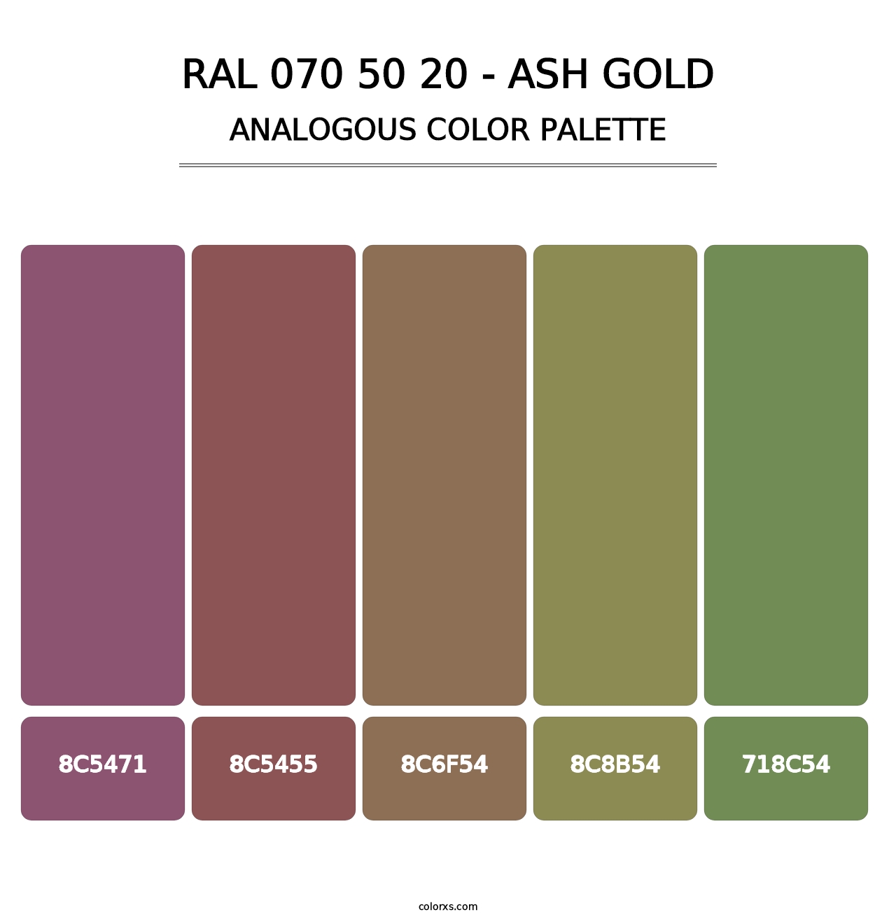 RAL 070 50 20 - Ash Gold - Analogous Color Palette