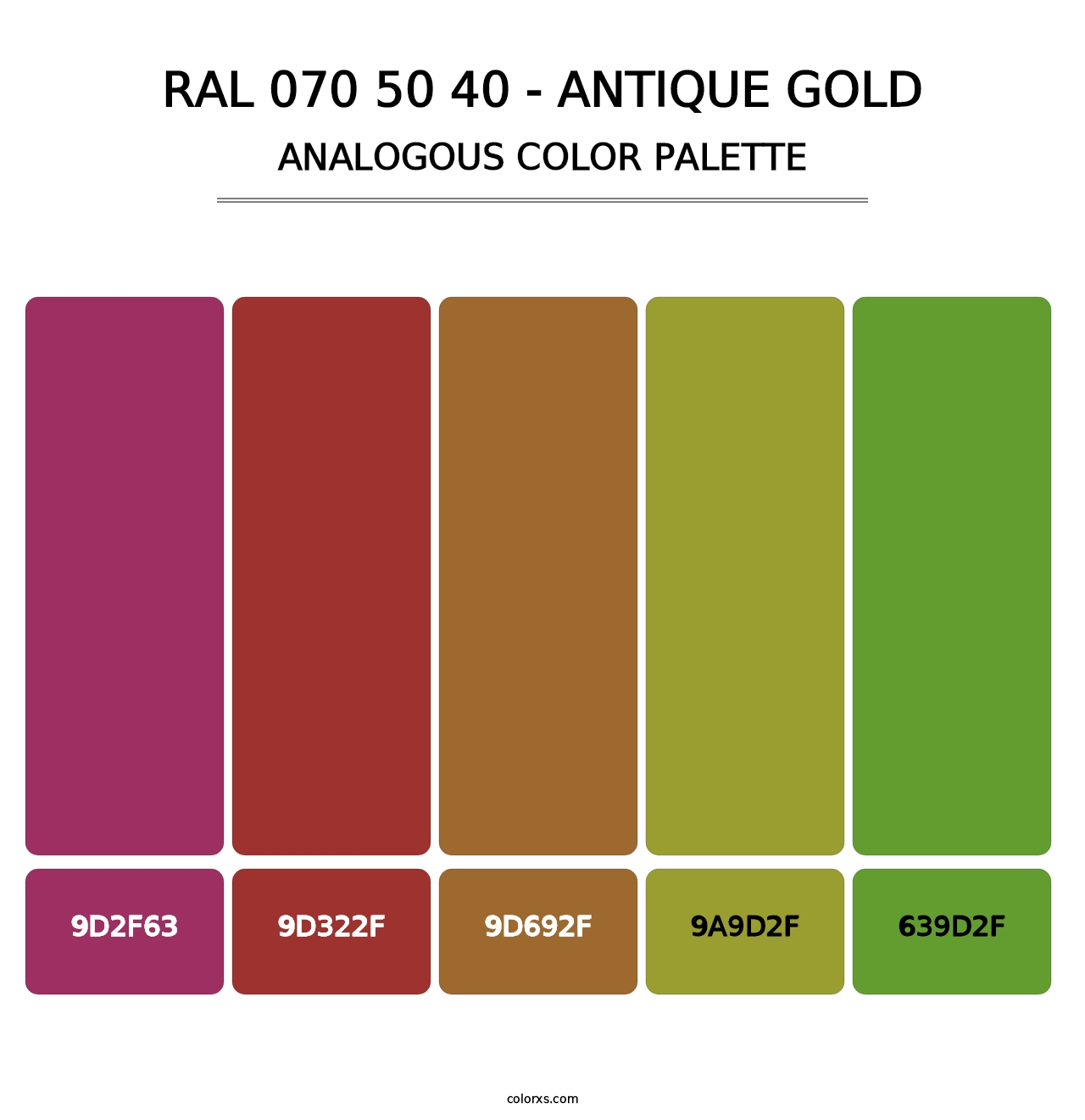RAL 070 50 40 - Antique Gold - Analogous Color Palette
