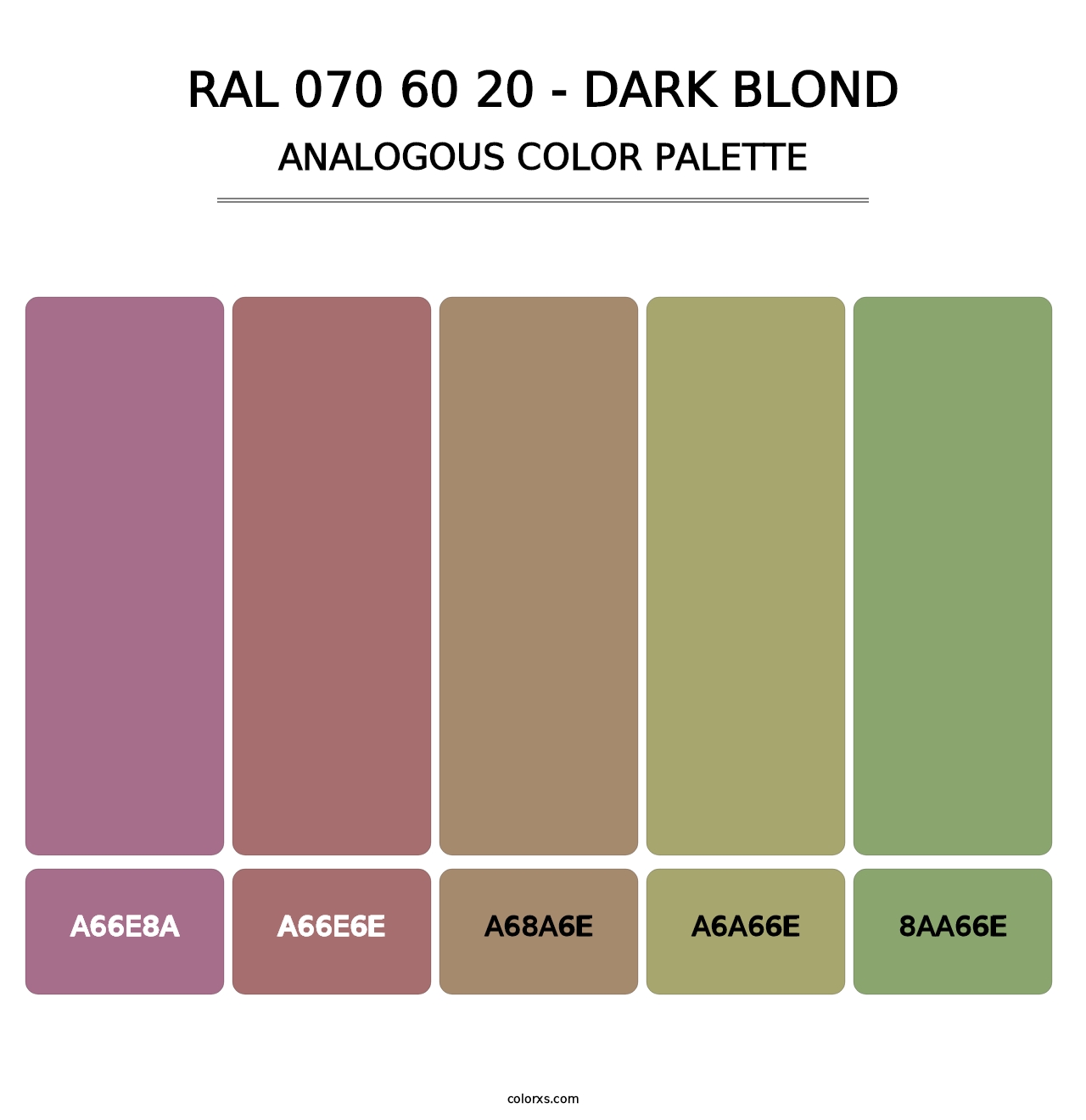 RAL 070 60 20 - Dark Blond - Analogous Color Palette