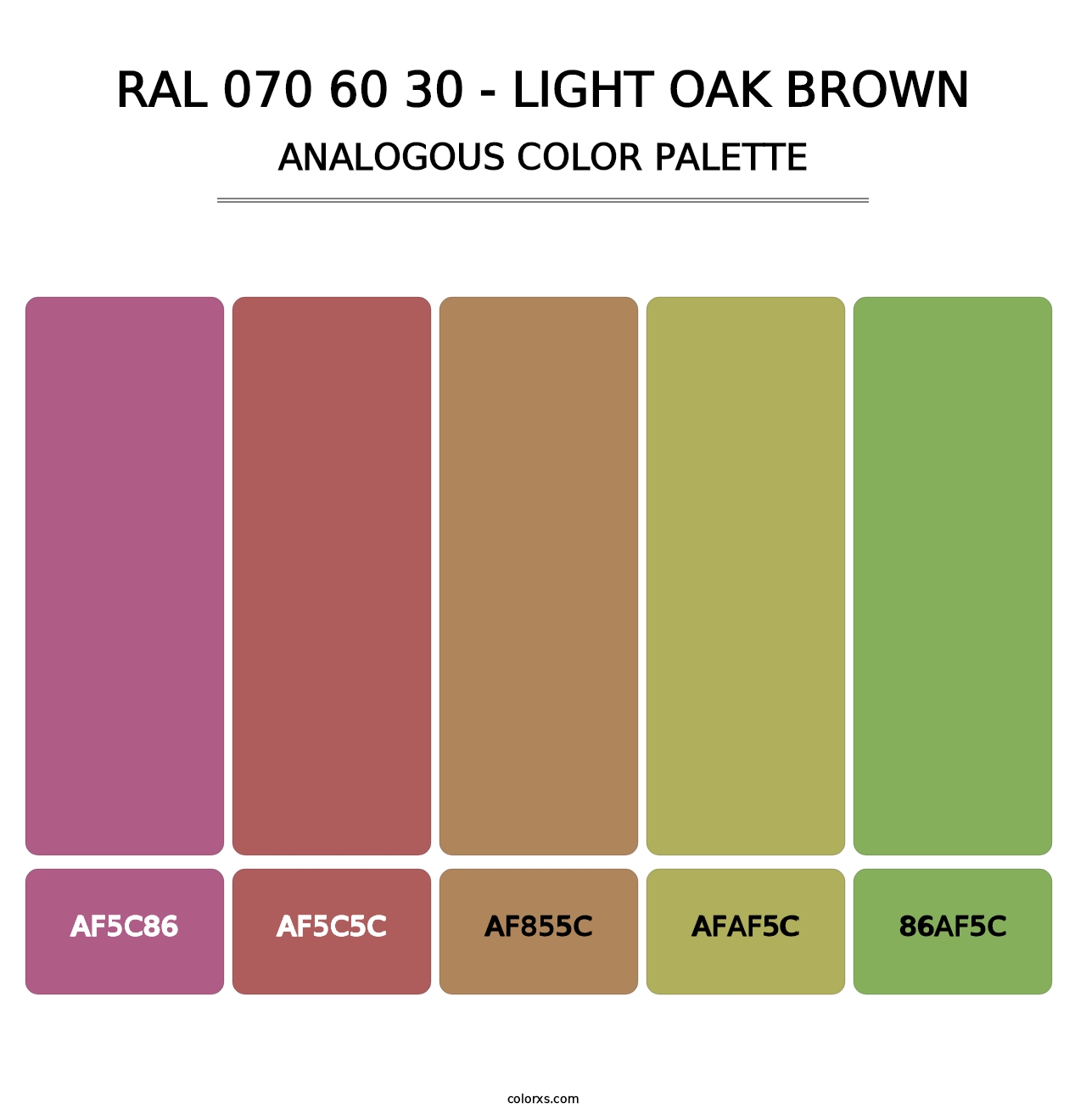 RAL 070 60 30 - Light Oak Brown - Analogous Color Palette