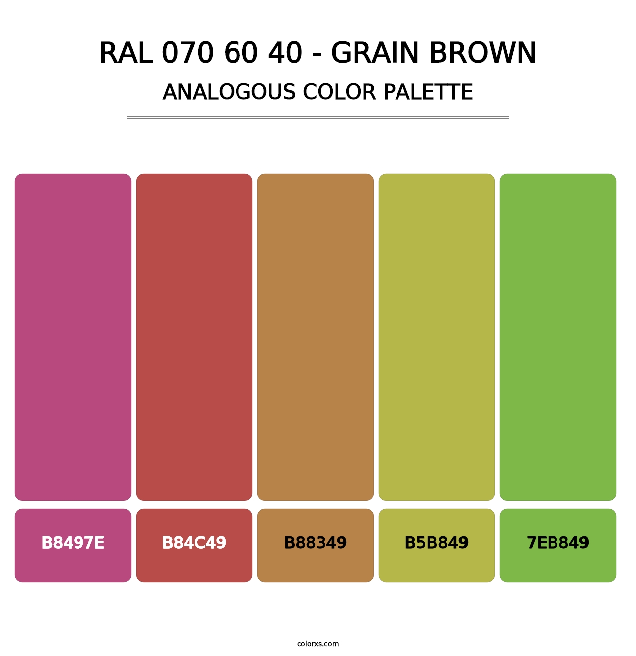 RAL 070 60 40 - Grain Brown - Analogous Color Palette