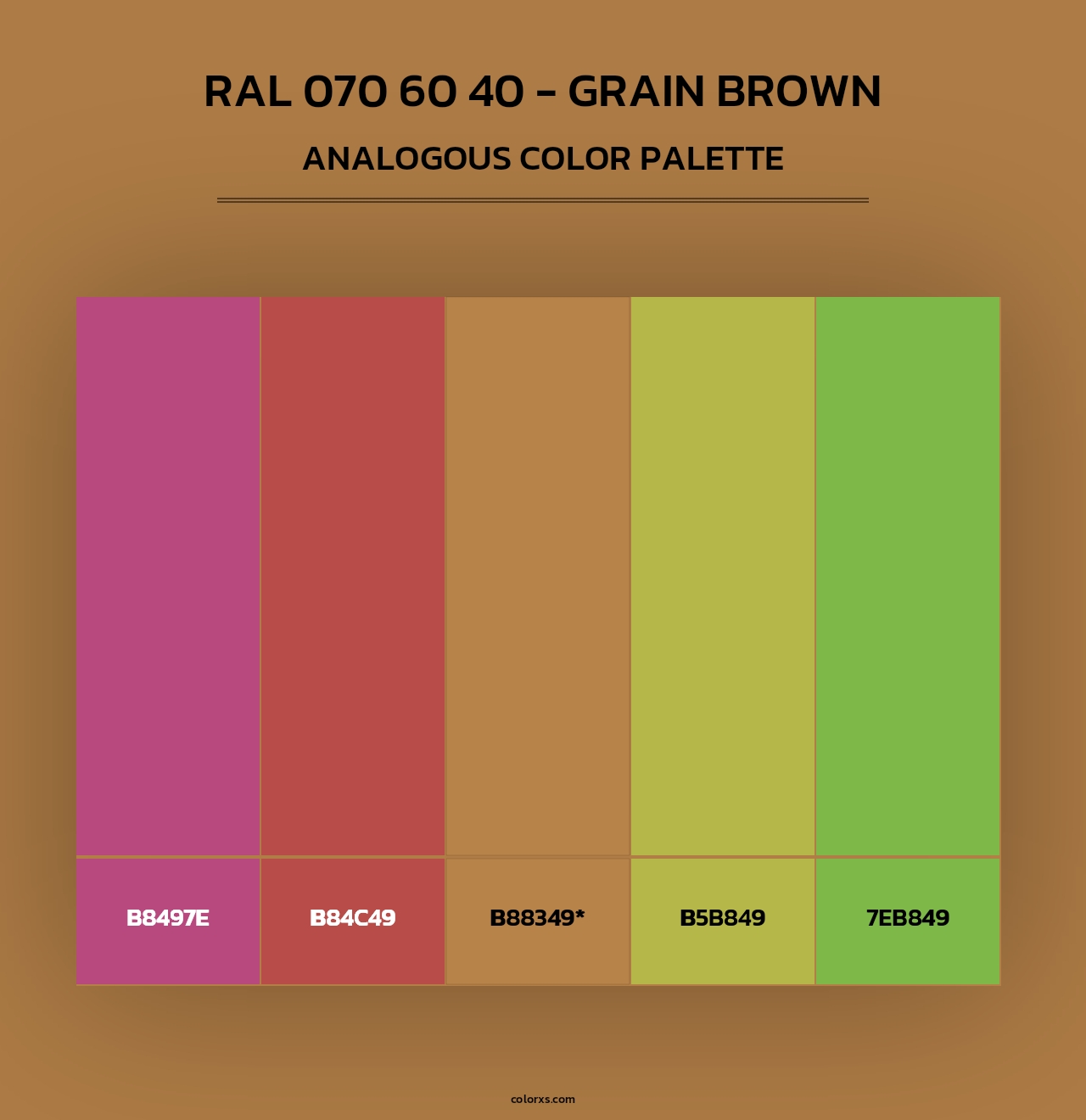 RAL 070 60 40 - Grain Brown - Analogous Color Palette
