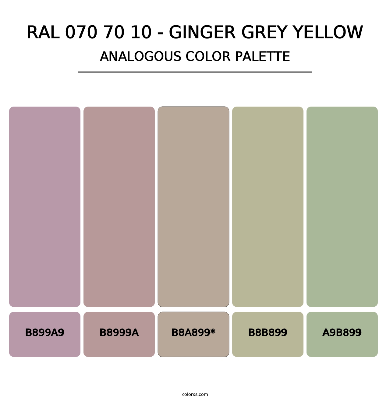 RAL 070 70 10 - Ginger Grey Yellow - Analogous Color Palette