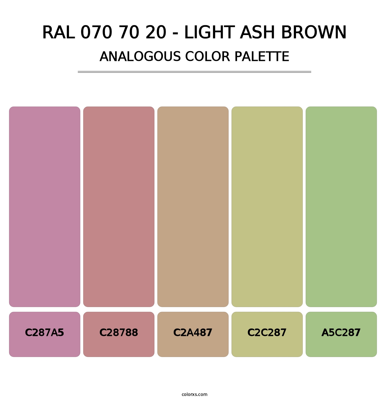 RAL 070 70 20 - Light Ash Brown - Analogous Color Palette