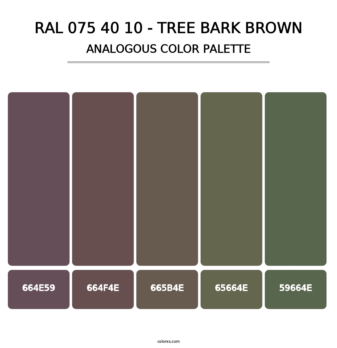 RAL 075 40 10 - Tree Bark Brown - Analogous Color Palette
