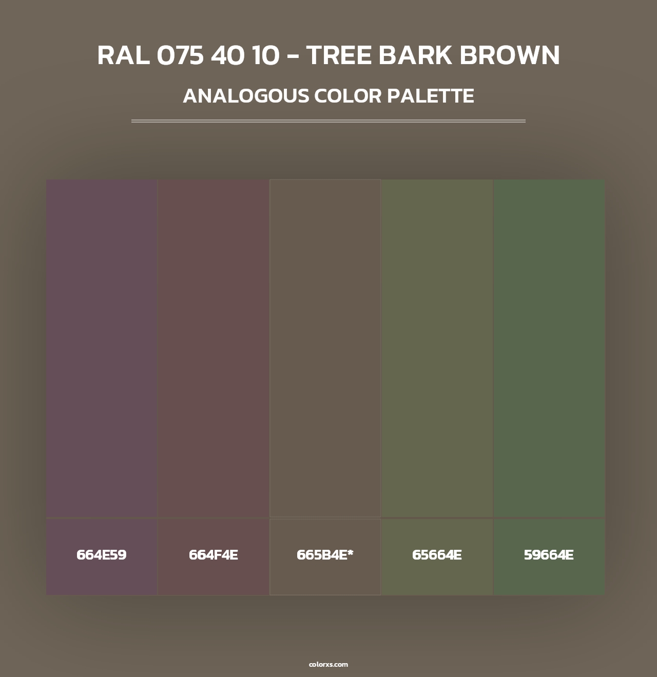 RAL 075 40 10 - Tree Bark Brown - Analogous Color Palette