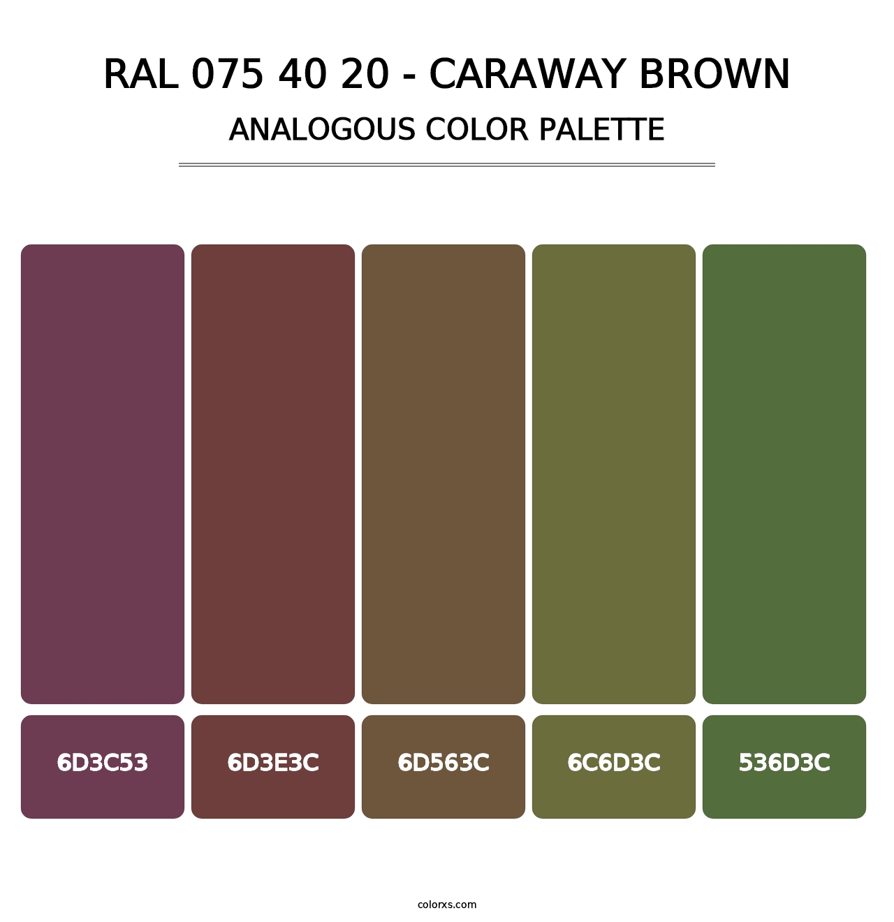 RAL 075 40 20 - Caraway Brown - Analogous Color Palette