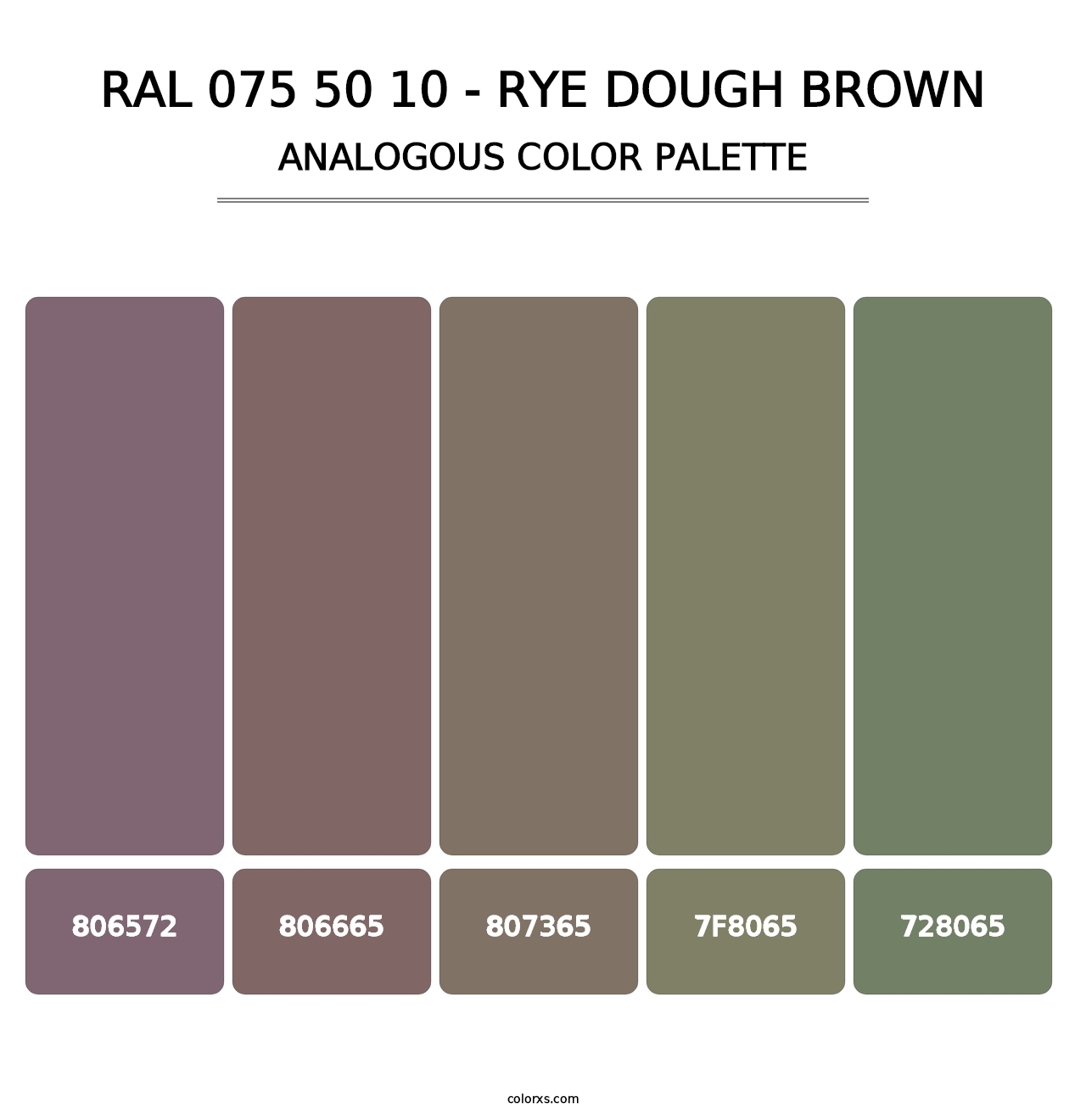 RAL 075 50 10 - Rye Dough Brown - Analogous Color Palette