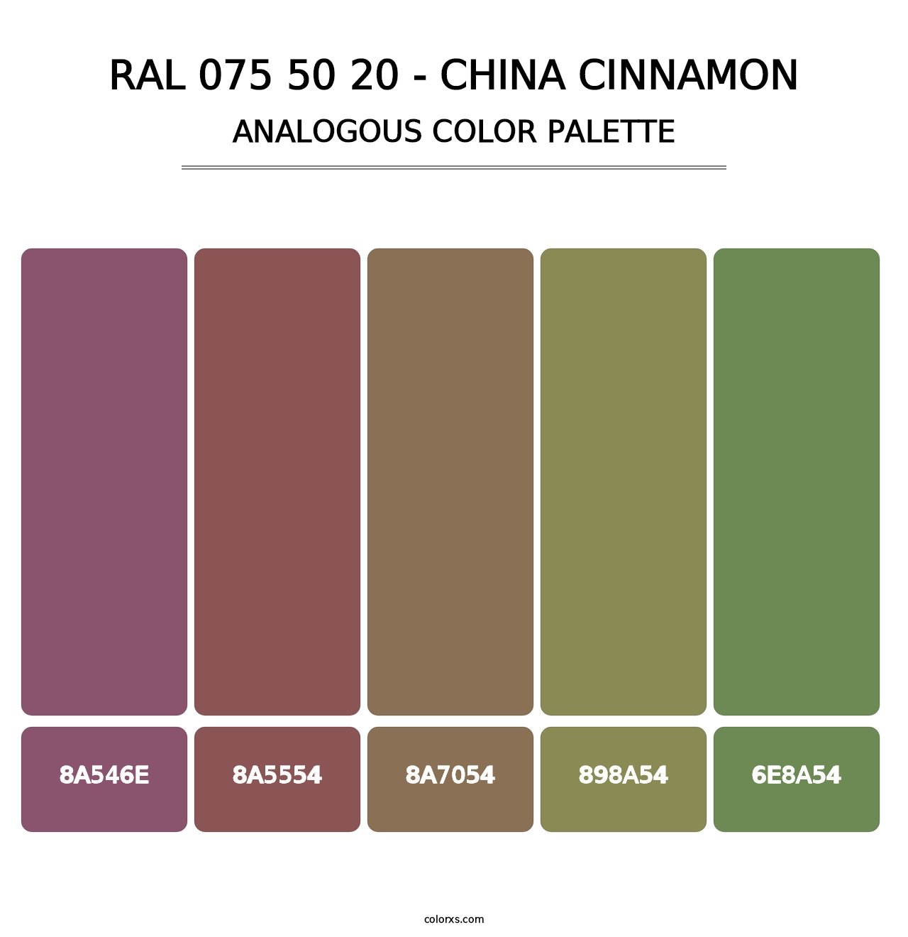 RAL 075 50 20 - China Cinnamon - Analogous Color Palette