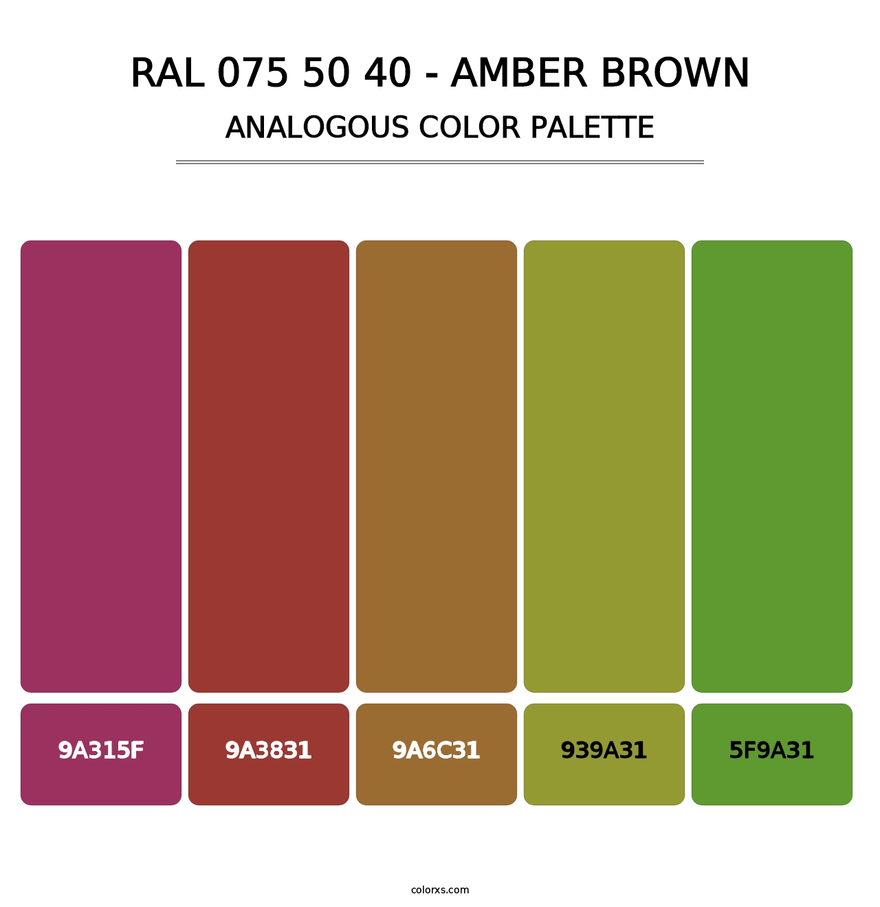 RAL 075 50 40 - Amber Brown - Analogous Color Palette