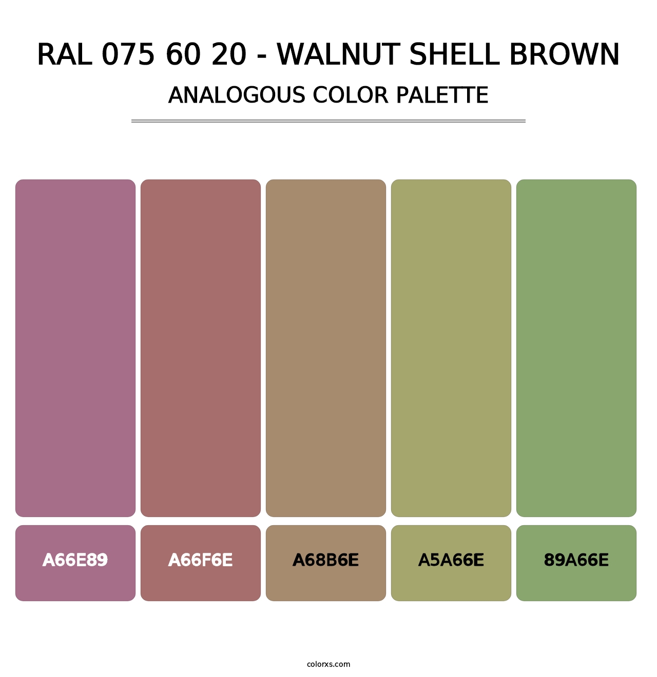 RAL 075 60 20 - Walnut Shell Brown - Analogous Color Palette