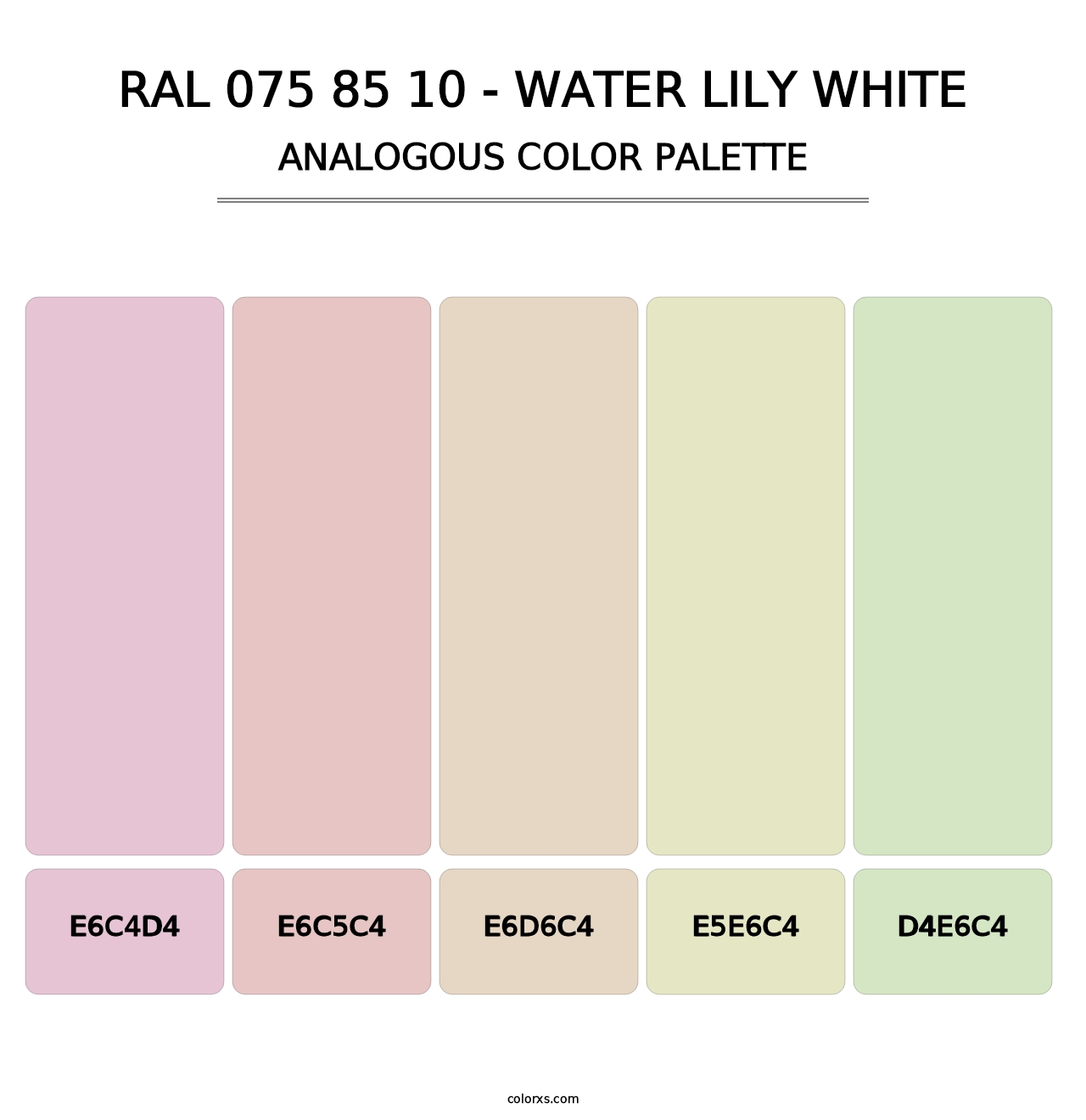 RAL 075 85 10 - Water Lily White - Analogous Color Palette