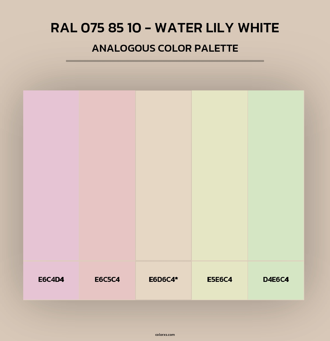 RAL 075 85 10 - Water Lily White - Analogous Color Palette