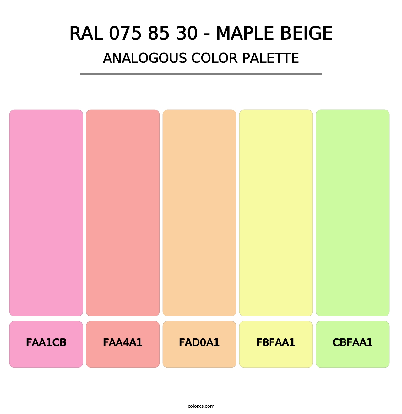 RAL 075 85 30 - Maple Beige - Analogous Color Palette