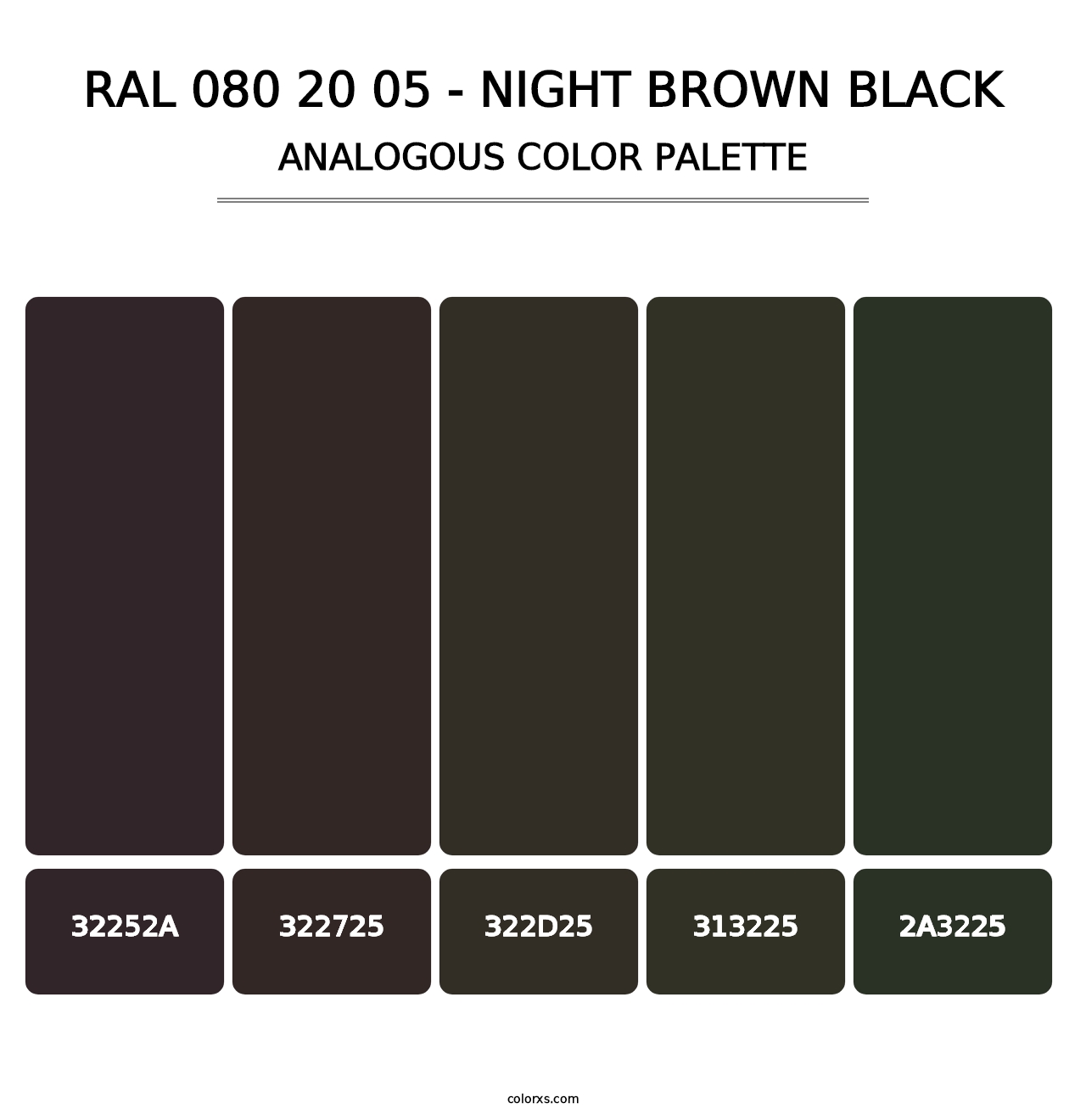 RAL 080 20 05 - Night Brown Black - Analogous Color Palette