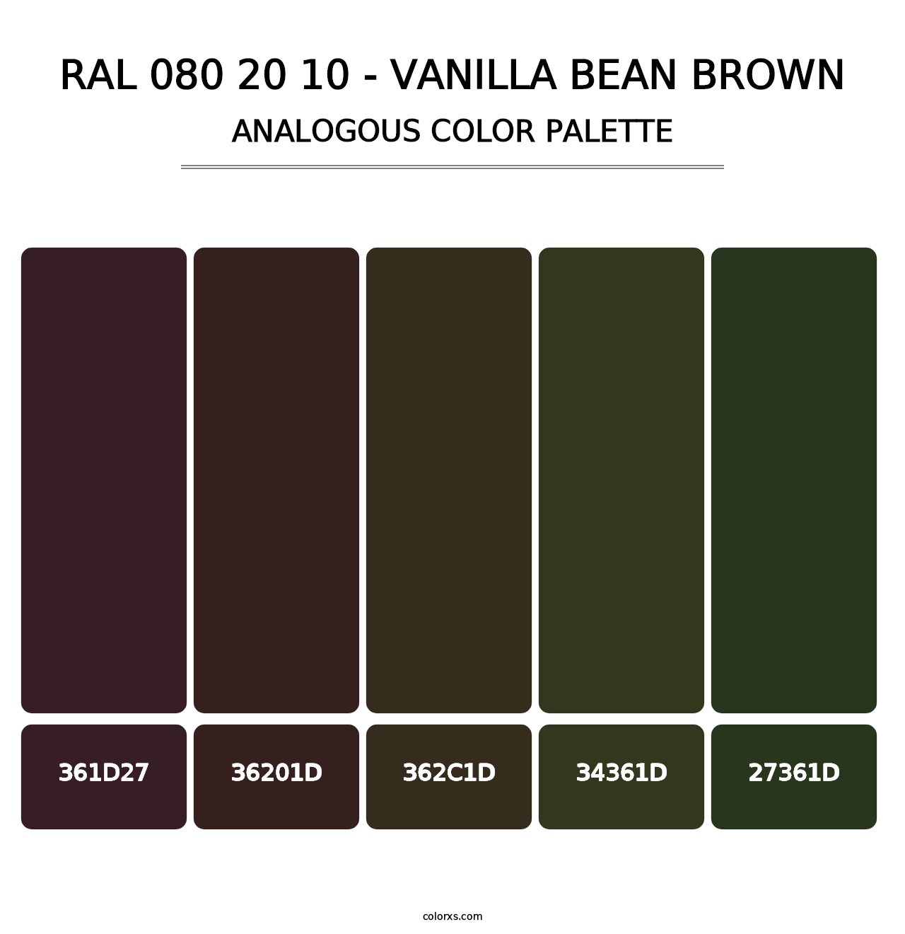 RAL 080 20 10 - Vanilla Bean Brown - Analogous Color Palette
