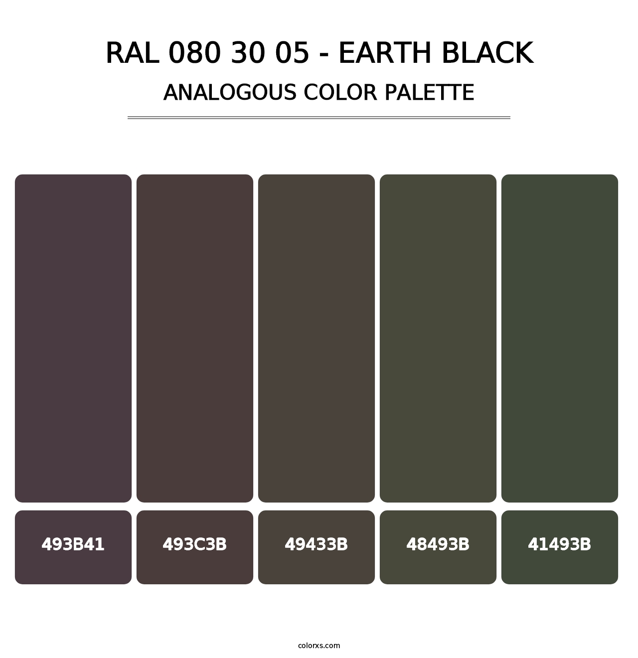 RAL 080 30 05 - Earth Black - Analogous Color Palette