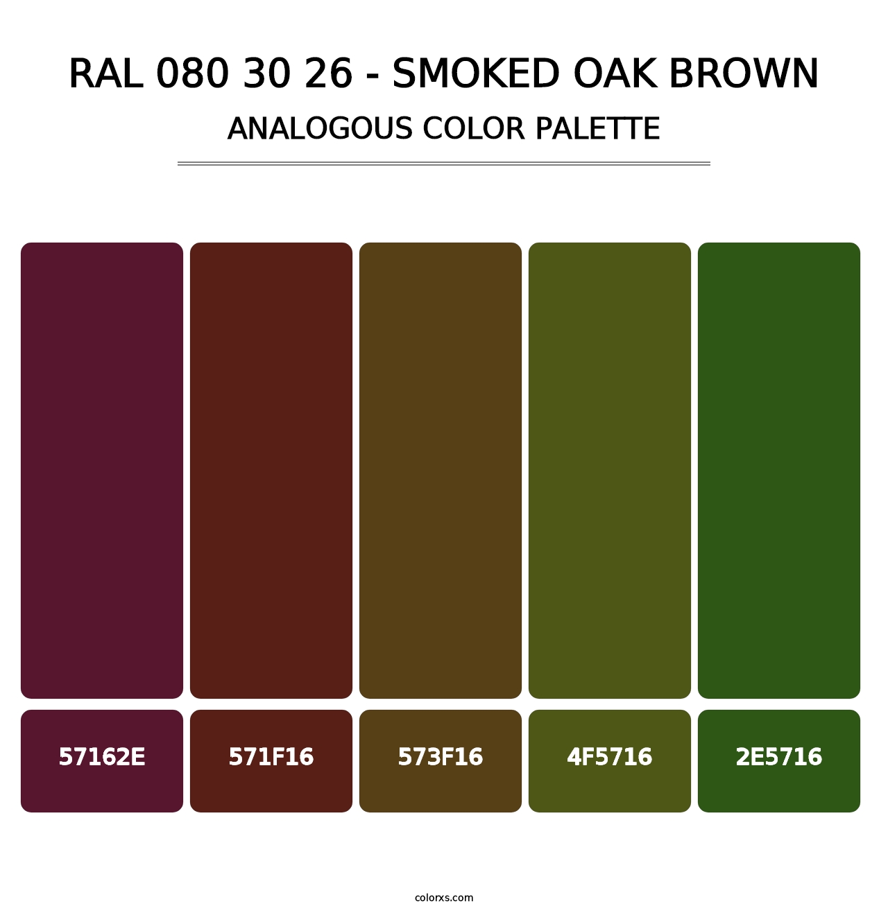 RAL 080 30 26 - Smoked Oak Brown - Analogous Color Palette