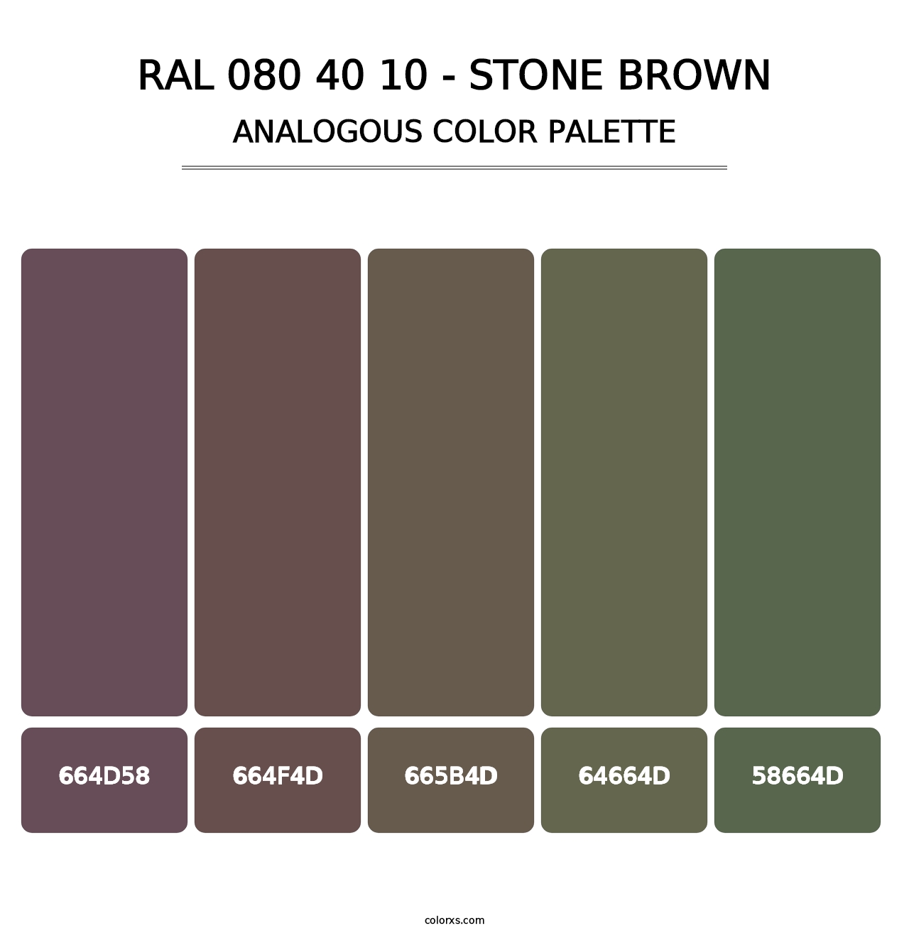 RAL 080 40 10 - Stone Brown - Analogous Color Palette